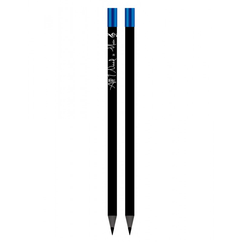 CRAYON AGIFTY MAGNETIQUE NOIR ET BLEU B1149