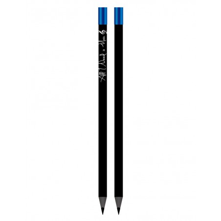 CRAYON AGIFTY MAGNETIQUE NOIR ET BLEU B1149