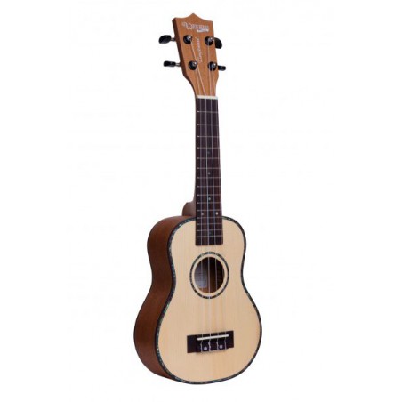UKULELE TANGLEWOOD CONCERT EPICEA  TUSTC