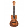 UKULELE KALA CONCERT ACAJOU COURAGE 
