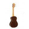 UKULELE PRODIPE CONCERT BC400