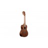 UKULELE KALA CONCERT ACAJOU MASSIF EN ETUI