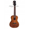 UKULELE LUNA CONCERT ACAJOU TATTOO LEZARD