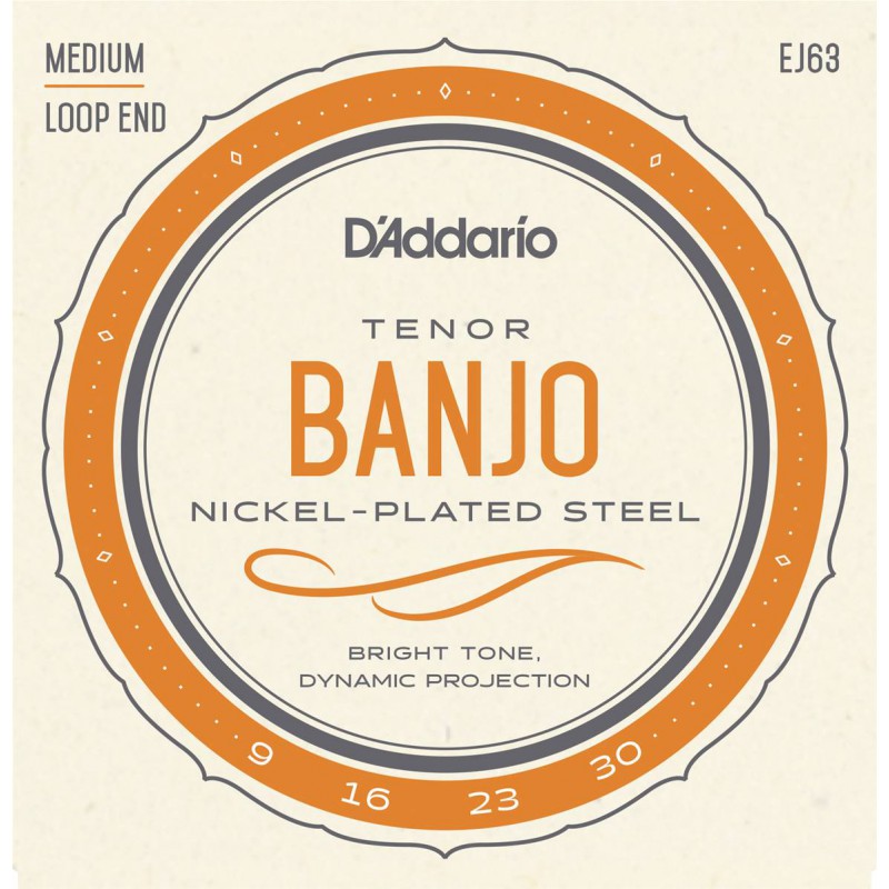 D'ADDARIO BANJO TENOR 4 CORDES JEU  EJ63