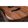 GUITARE TAYLOR ACADEMY 20E WALNUT (N'EXISTE PLUS)