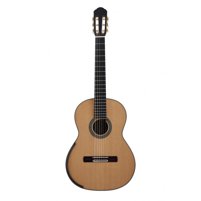 GUITARE PAPPALARDO EXCELLENCE CEDRE EN ETUI