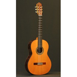 GUITARE PAPPALARDO S1 63 CM CEDRE