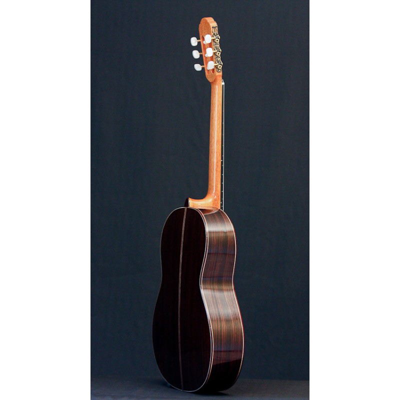 GUITARE PAPPALARDO S2 EPICEA