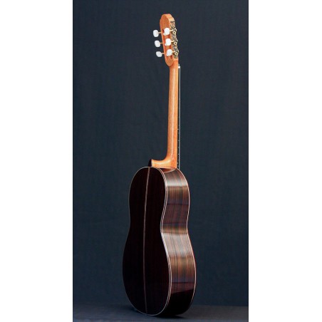 GUITARE PAPPALARDO S2 EPICEA