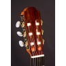 GUITARE PAPPALARDO S2 EPICEA