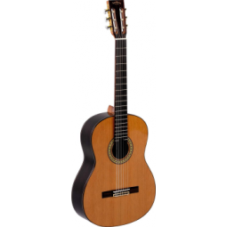 GUITARE SIGMA CR6 PALISSANDRE EXISTE PLUS