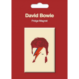 MAGNET MUSIC GIFT POP ART BOWIE MYMAG278