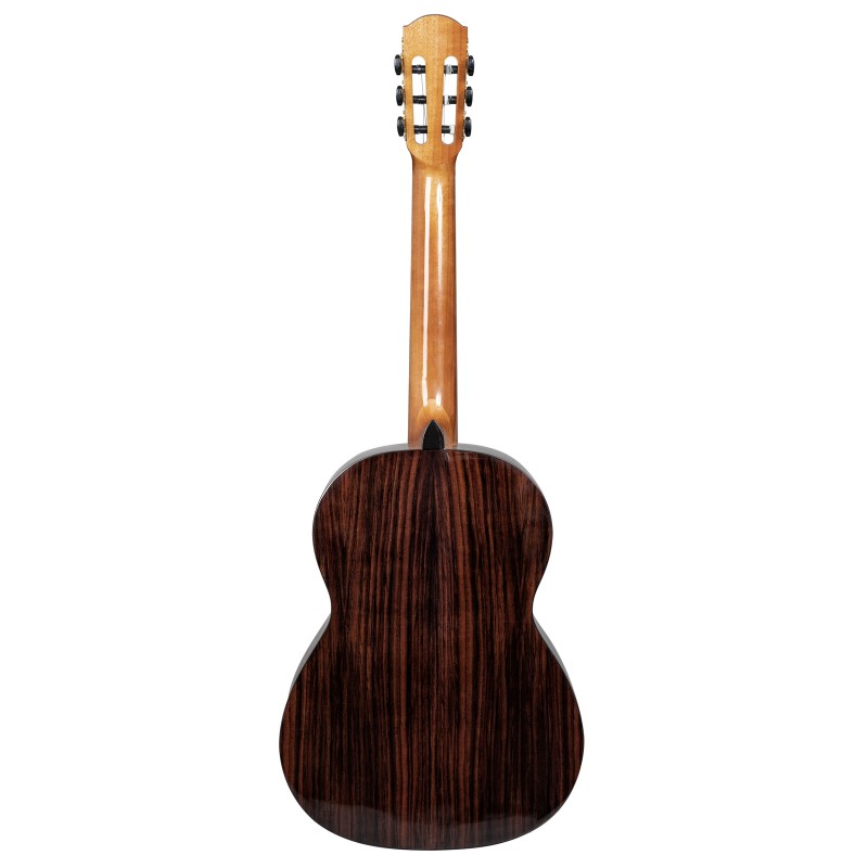 GUITARE CASCHA PERFORMER SERIES AVEC HOUSSE CGC300