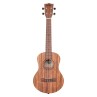 UKULELE KALA TENOR TEAK TRI-TOP