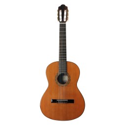 GUITARE ESTEVE 3ST58 3/4 CEDRE