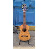 GUITARE CLASSIQUE ALTAMIRA 1/2 RN ALTO VERNIS BRILLANT N100 AT019