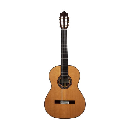 GUITARE CLASSIQUE ALTAMIRA GANADORA N650 4/4 EN ETUI AT008