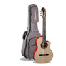 GUITARE ALHAMBRA GREEN SUSTAIN CTW E8 ELECTRO AVEC HOUSSE 25MM