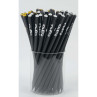 CRAYON CLE DE SOL ARGENT AVEC CRISTAL BLANC B1113