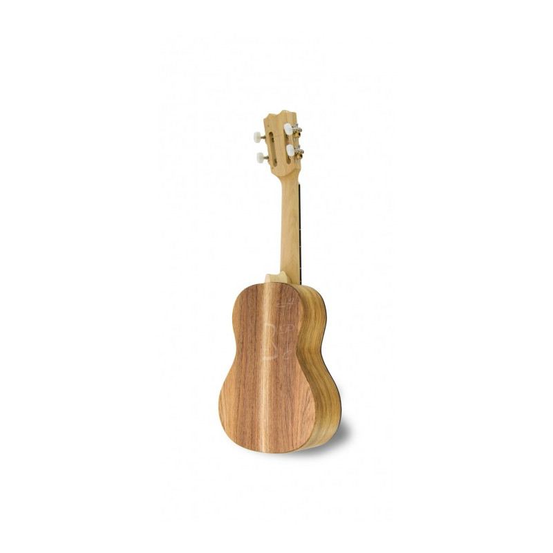 CAVAQUINHO BRESILIEN CARVALHO BR110