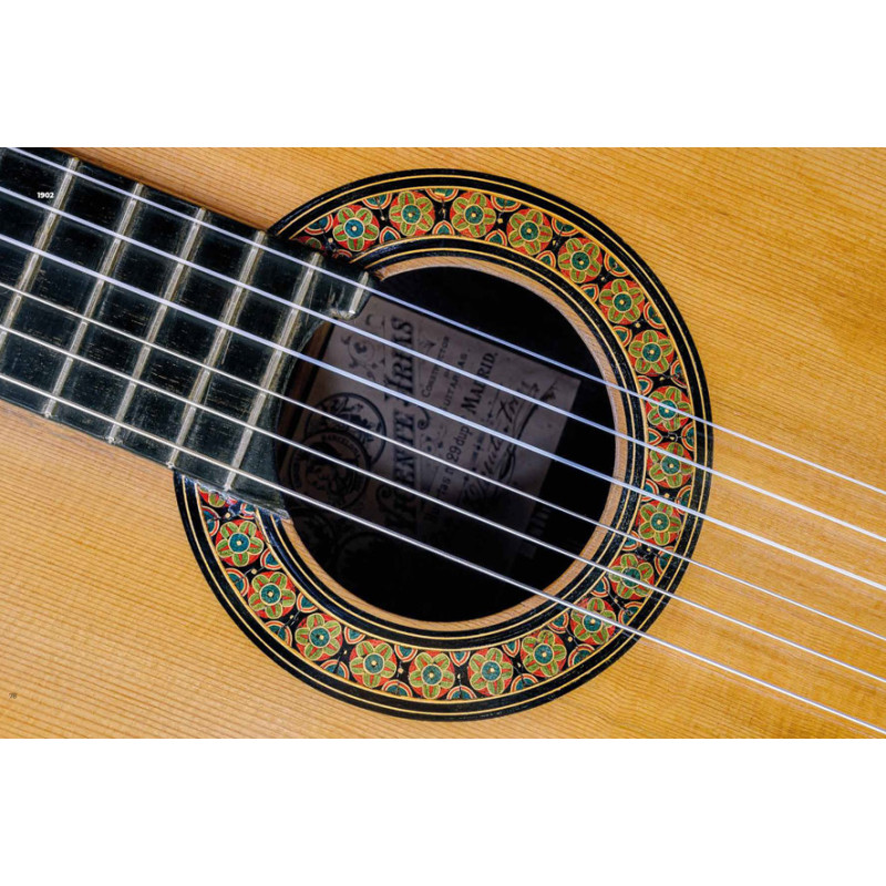 VICENTE ARIAS LE LUTHIER OUBLIE 