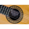 VICENTE ARIAS LE LUTHIER OUBLIE 