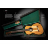 VICENTE ARIAS LE LUTHIER OUBLIE 