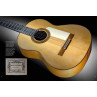 LIVRE DANIEL FRIEDERICH LUTHIER D'ART