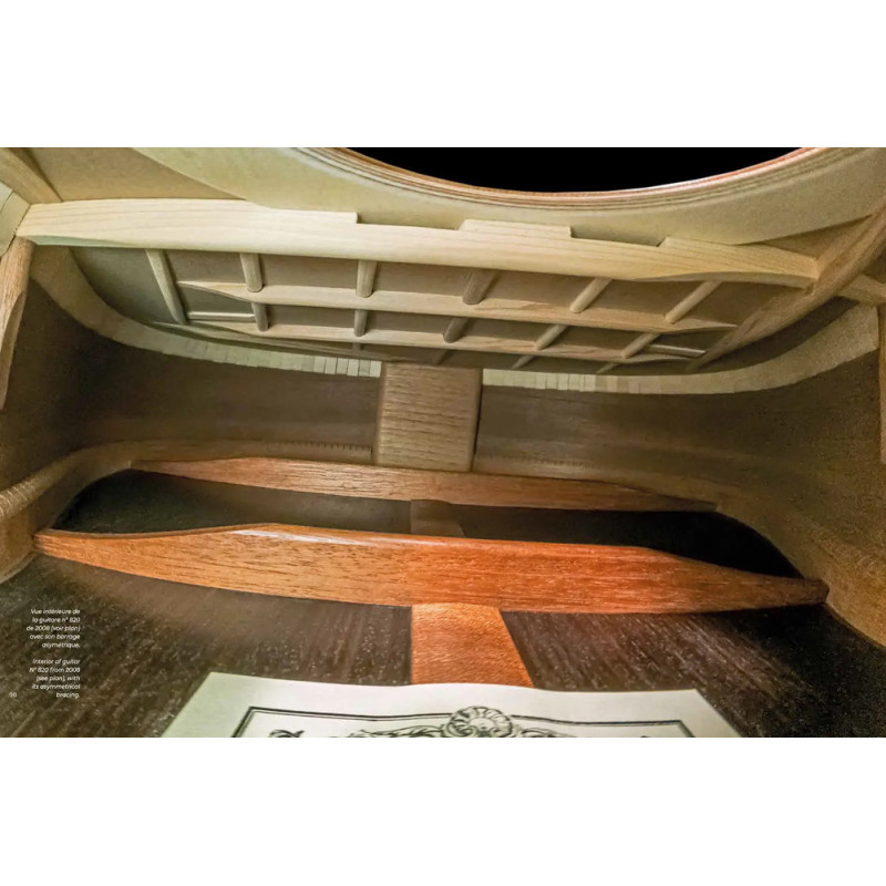 LIVRE DANIEL FRIEDERICH LUTHIER D'ART
