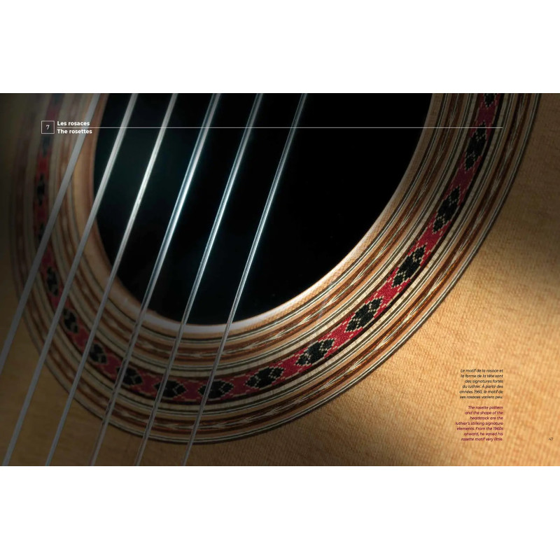 LIVRE DANIEL FRIEDERICH LUTHIER D'ART