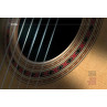 LIVRE DANIEL FRIEDERICH LUTHIER D'ART