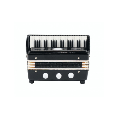 MAGNET 3D ACCORDEON