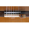MICRO DE CHEVALET ROYAL CLASSIC AVEC VOLUME AMB6