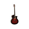GUITARE TANGLEWOOD ELECTRO ACOUSTIQUE WINTERLEAF TW4 CE AVB CN 