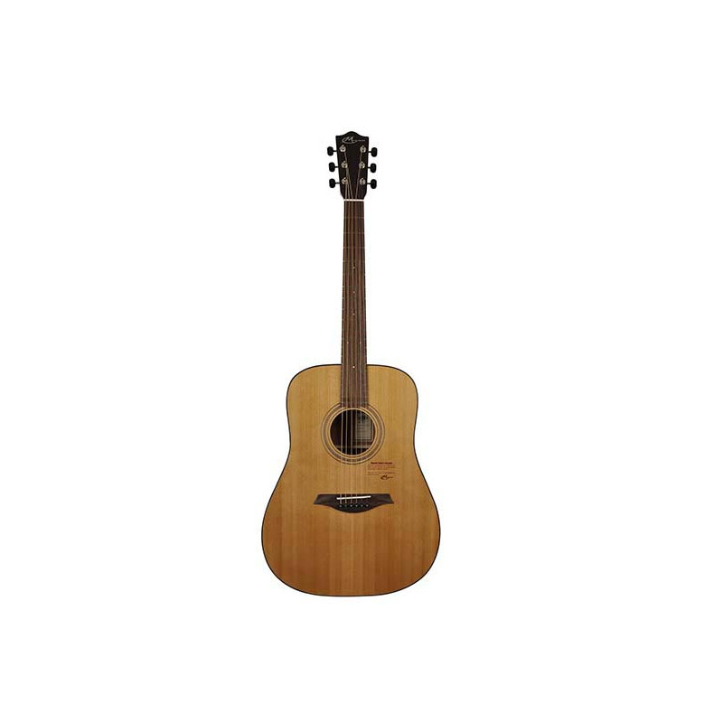 GUITARE MAYSON FOLK DREADNOUGTH ACAJOU TABLE CEDRE MASSIF EXISTE PLUS