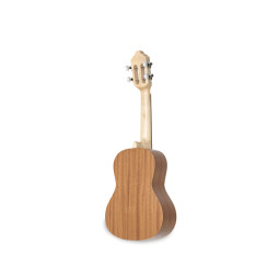 CAVAQUINHO BRESILIEN CARVALHO E/A BR110E