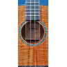 UKULELE KAMAKA TENOR SIGNATURE JAKE SHIMABUKURO ELECTRO BLUE