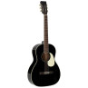 GUITARE FOLK RICHWOOD HERITAGE SERIES PARLOR TABLE EPICEA MASSIF NOIRE  