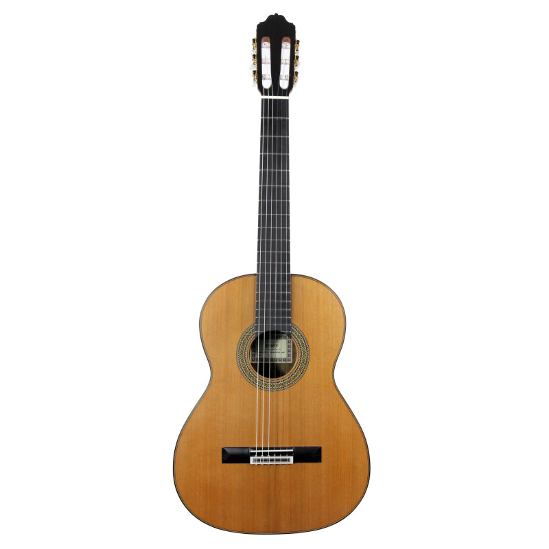 GUITARE ESTEVE MOD 7 F/E COCOBOLO 15447CO