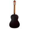 GUITARE ESTEVE MOD 7 F/E COCOBOLO 15447CO