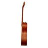 GUITARE JOURNEY FOLK DEMONTABLE ACOUSTIQUE PJ410N
