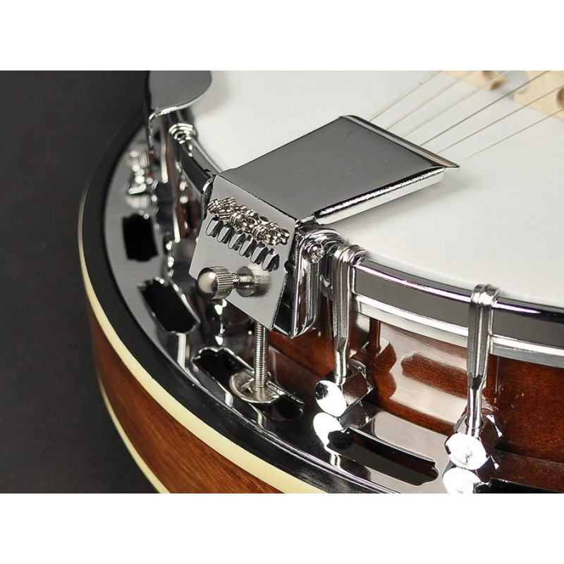 BANJO 6 CORDES RICHWOOD HERITAGE RMB-606 