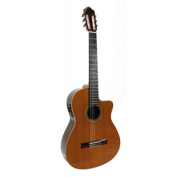 GUITARE ESTEVE 3CE PAN COUPE