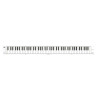 CARRY ON PIANO MIDI 88 SENSITIVE TOUCH BLANC 