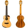 UKULELE FLIGHT VICTORIA CONCERT ELECTRO SOUNDWAVE