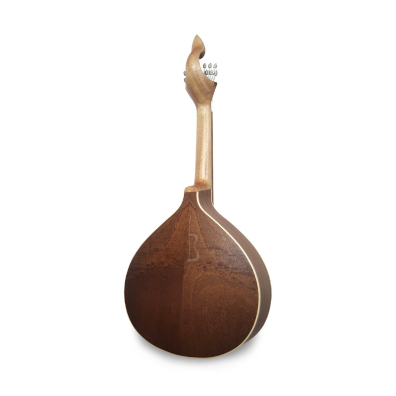 GUITARE PORTUGAISE FADO COIMBRA GF305CB1