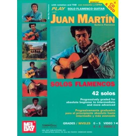 JUAN MARTIN PLAY SOLO FLAMENCO GUITAR 1